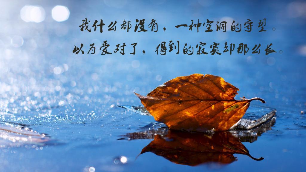 有些青春,是天意