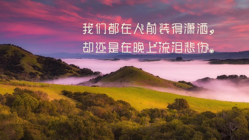 普罗旺斯的薰衣草，薰衣草开过吗