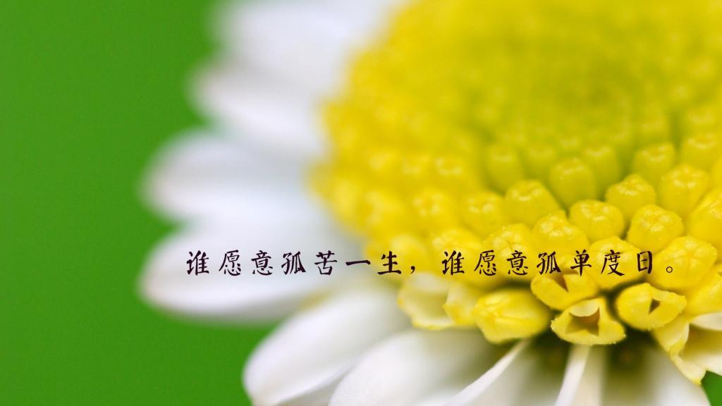 鲁迅经典语录带书名
