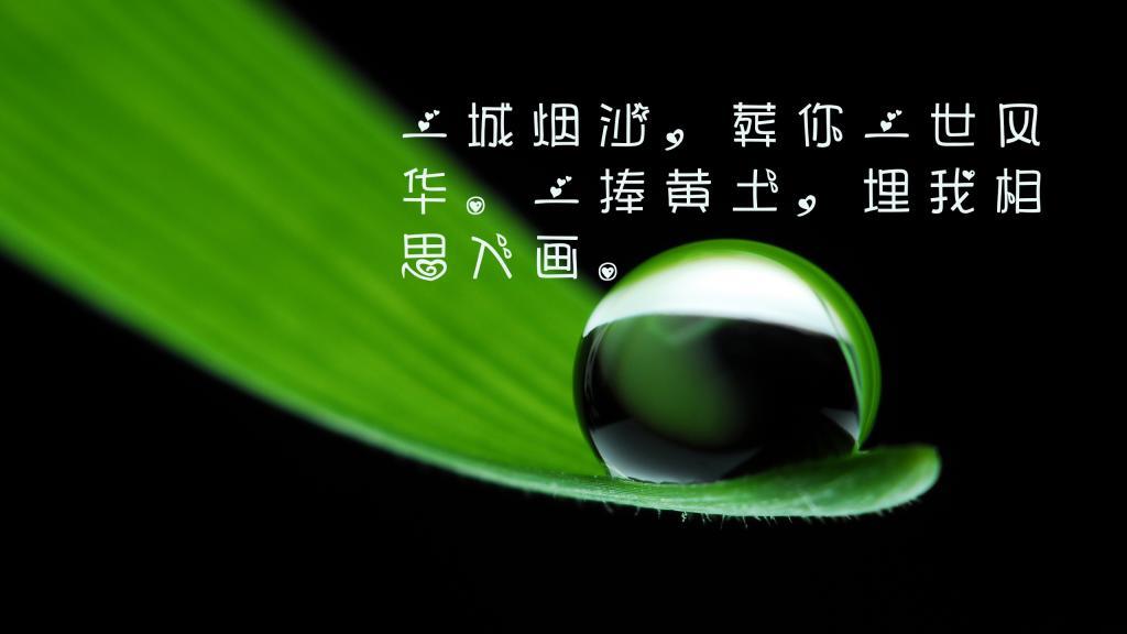 对于父母我们总有太多的亏欠说说心情经典语录欣赏