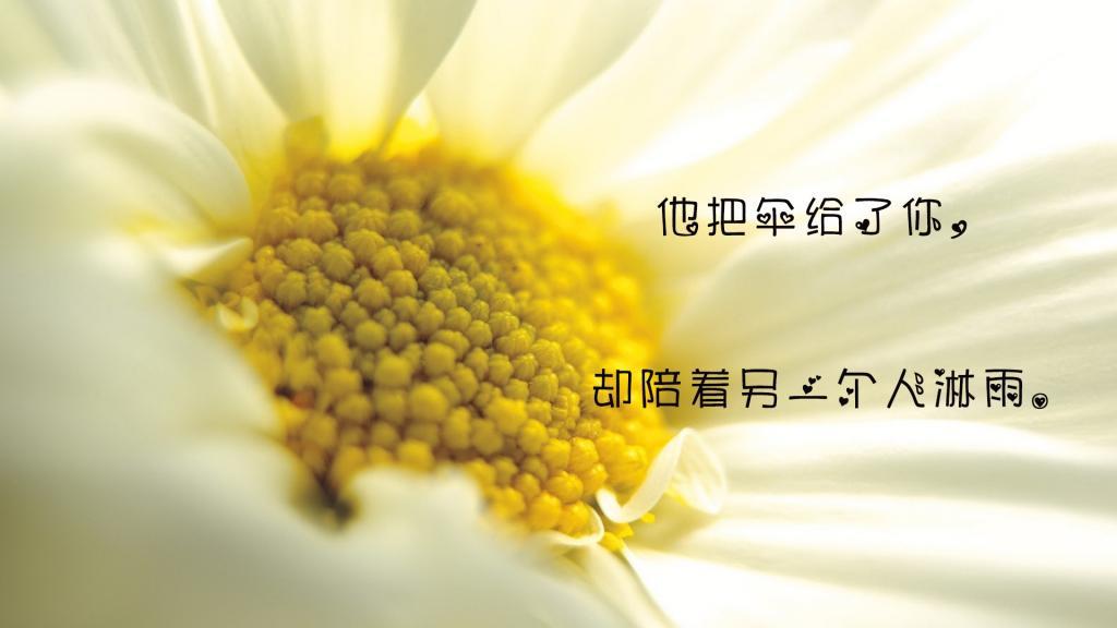 100句生活一句话很现实的句子,生活一句话