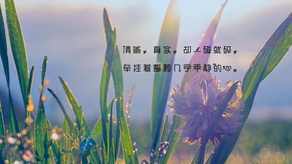 万万人中遇到你