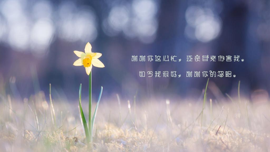 郭敬明经典语录 大杂烩！！