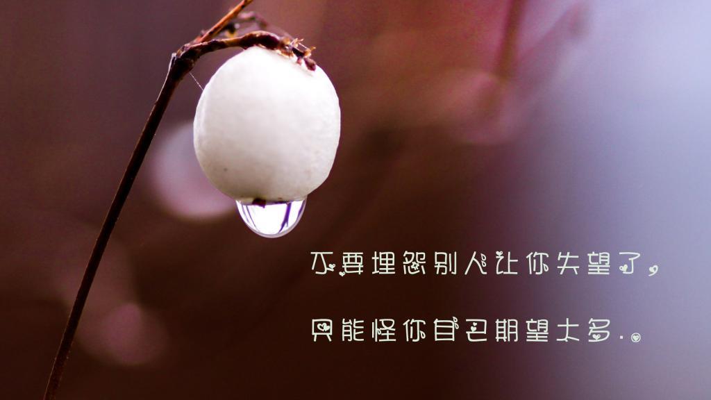 拥有四得，让人生不同