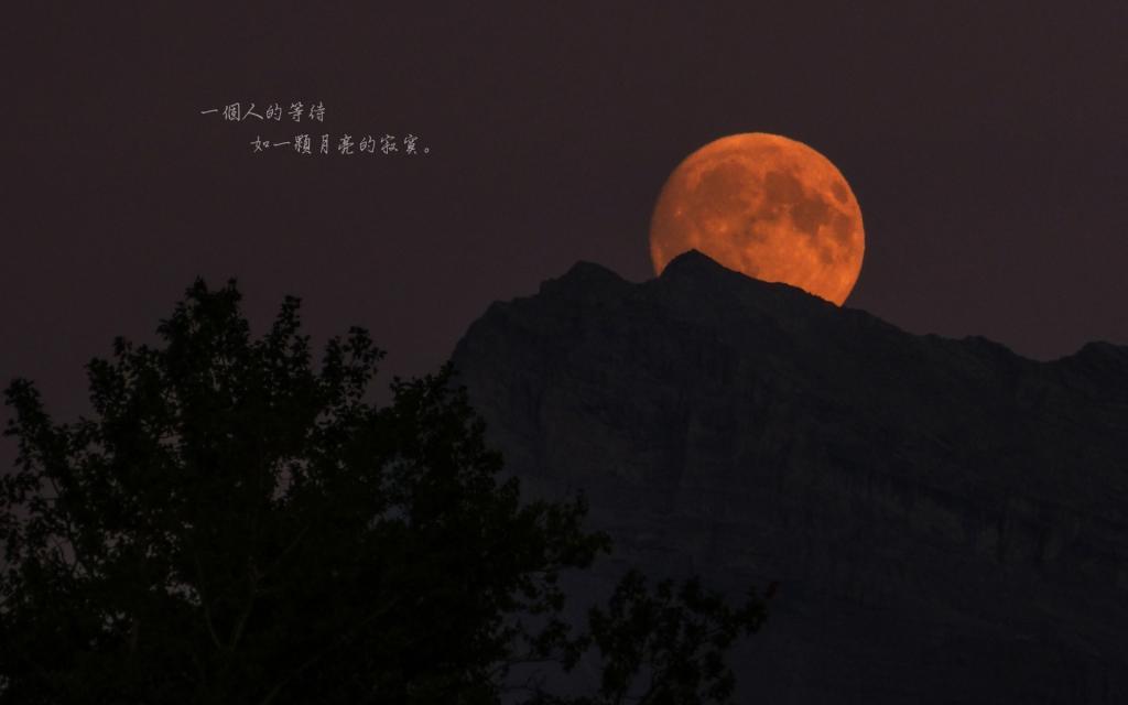 冬天，那一场雪
