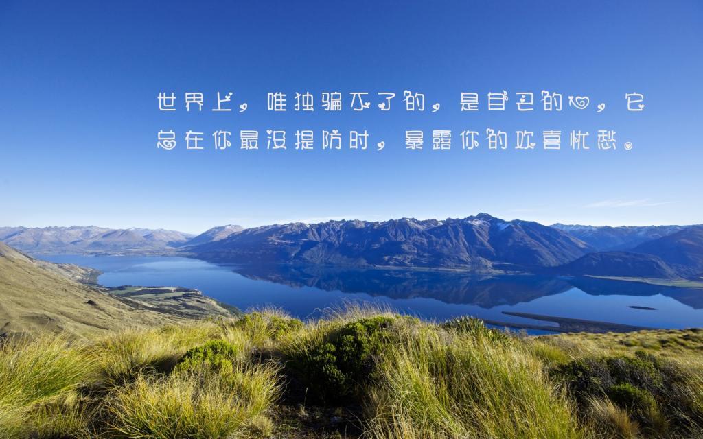 给大家来点最搞笑的笑话段子