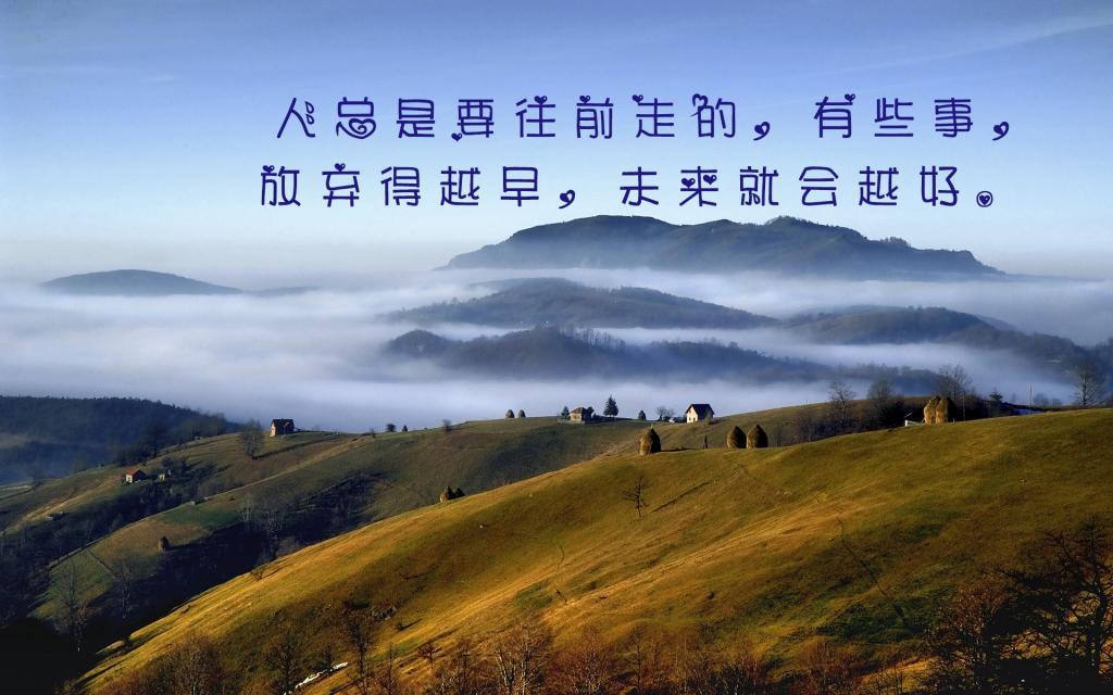 感谢生活这杯苦丁茶