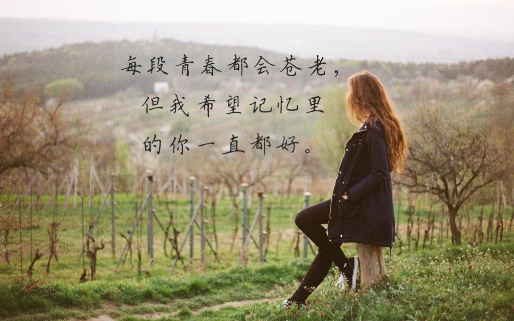 爱情有限责任