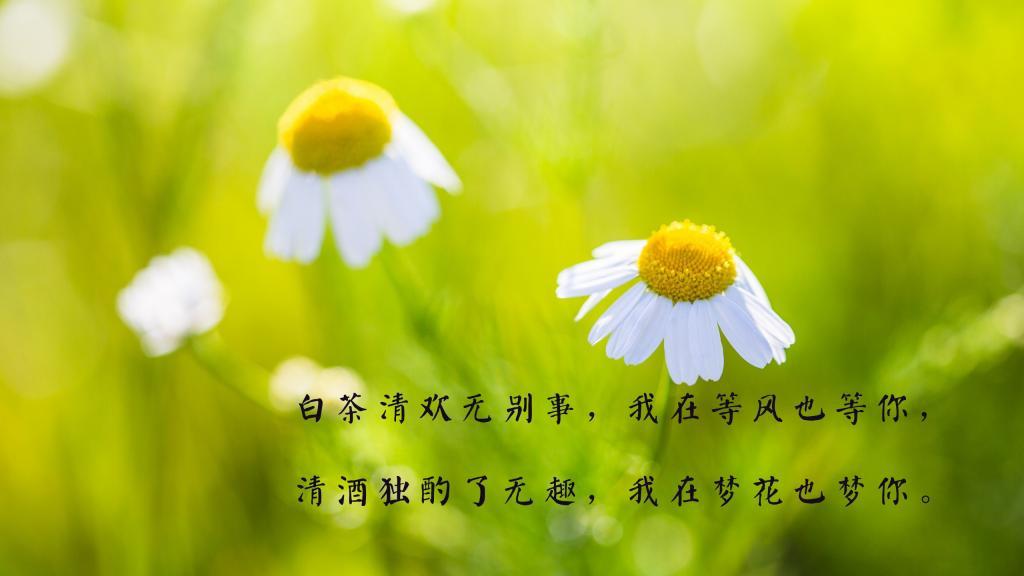 恋殇三题——写给我那位因失恋而痛苦的青年朋友