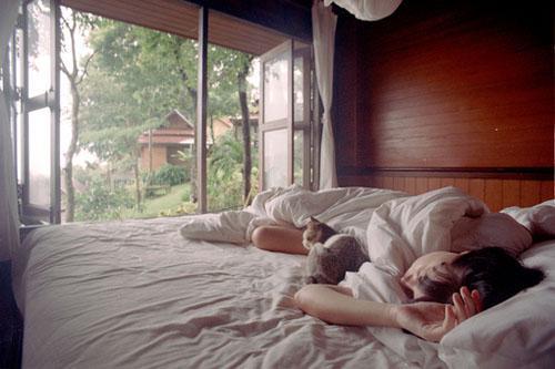 儒学经典的100句语录。事豫则立，不豫则废