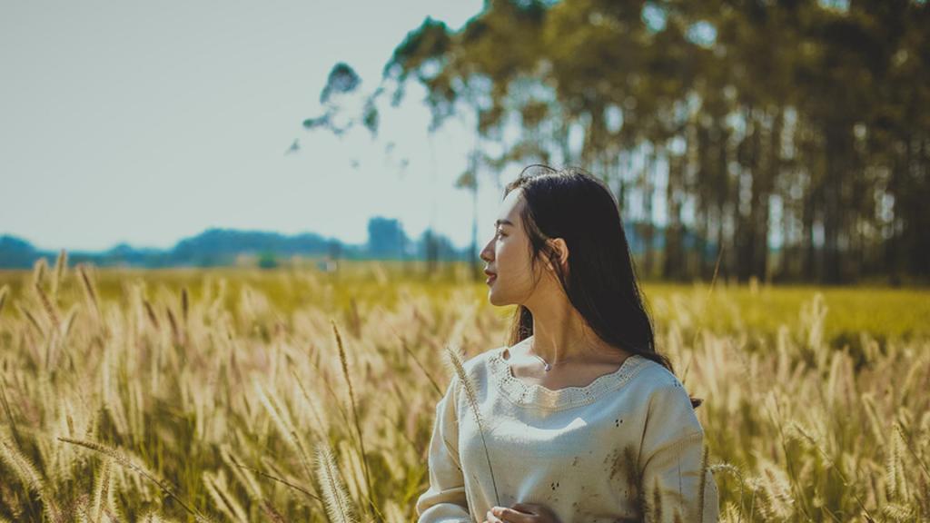 恐怖的爬行怪物