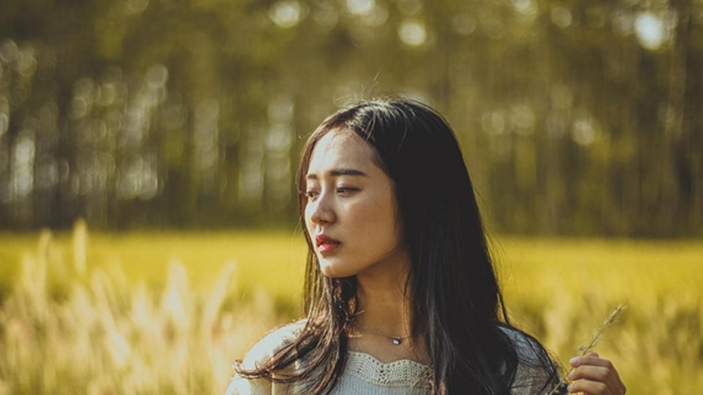 那只小狗教我的事