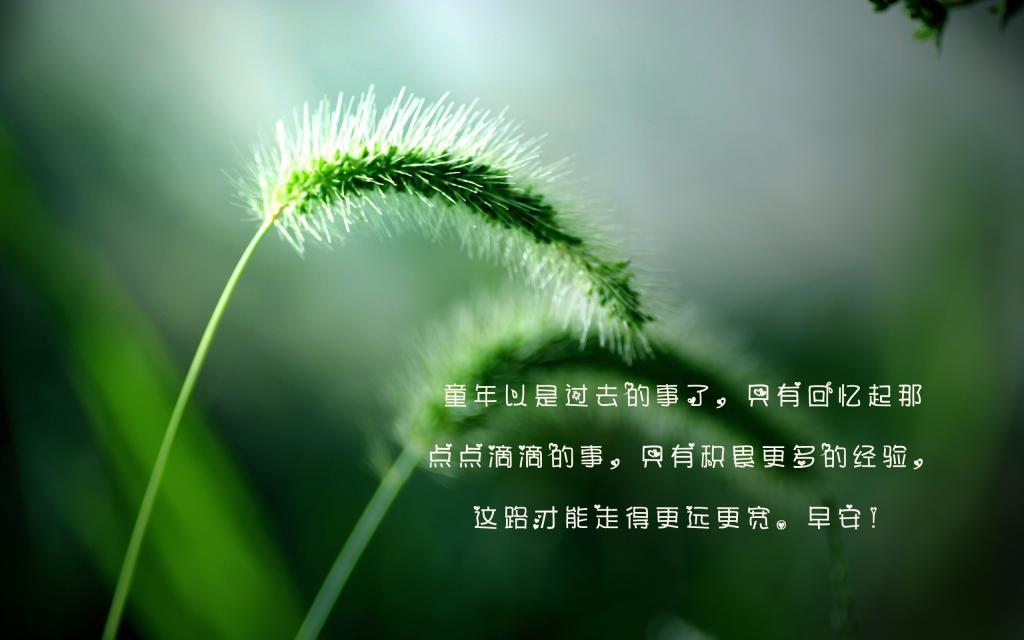 你受伤，我心疼