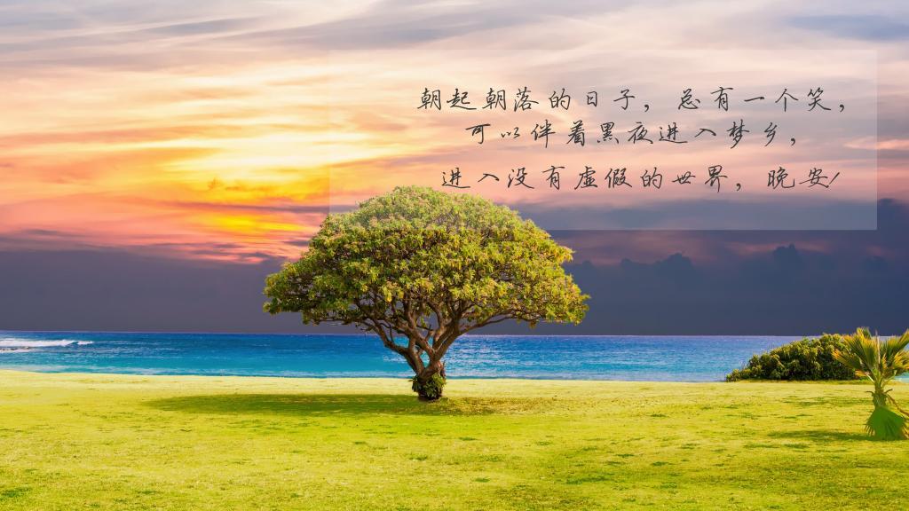 2014的心愿（外三篇）