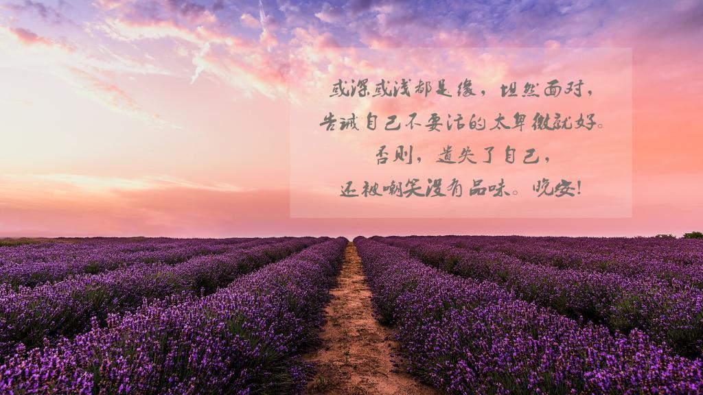 婚姻需要常回头看看