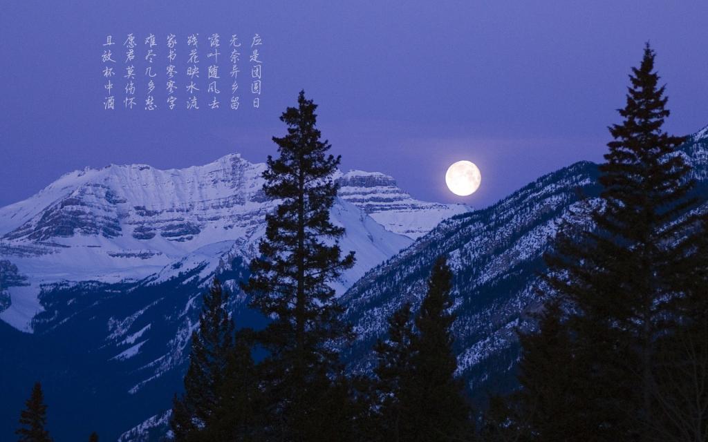 没有暖不暖，只有爱不爱