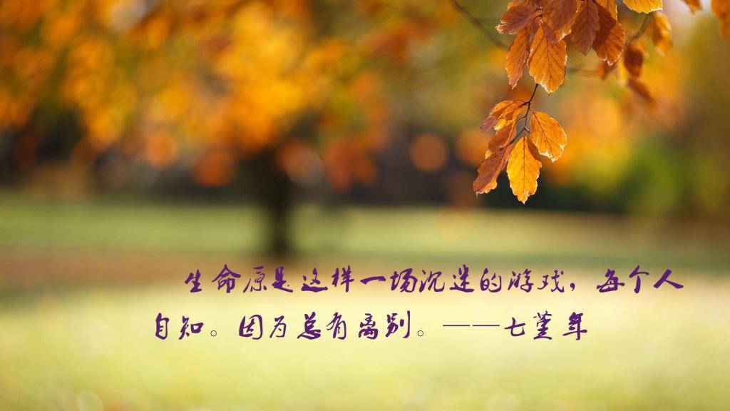 100句简短的关于搞笑幽默的句子，搞笑短语