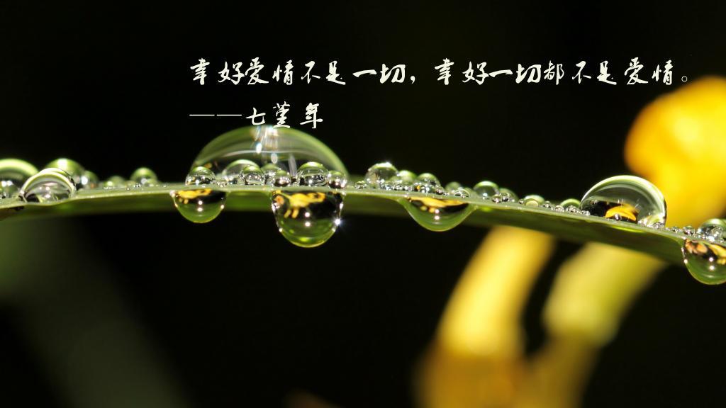 男人难两全