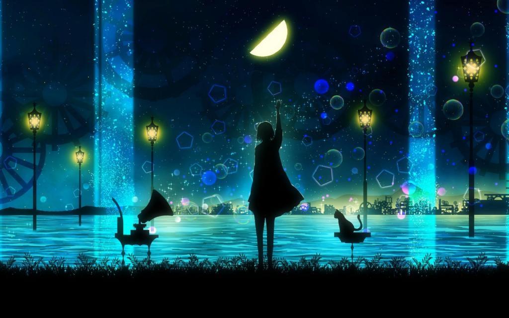 后来，从不会有答案