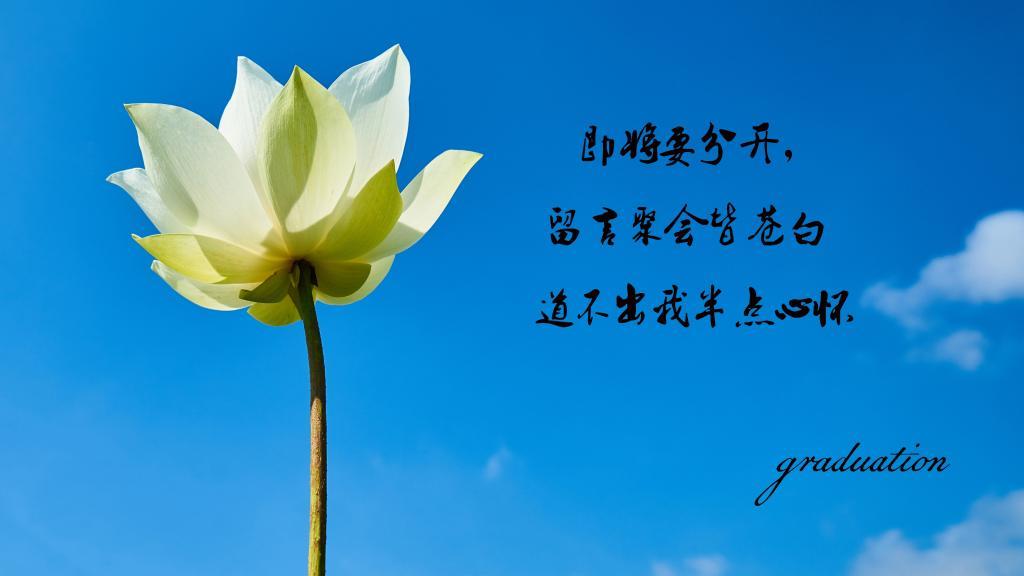 在梦的那