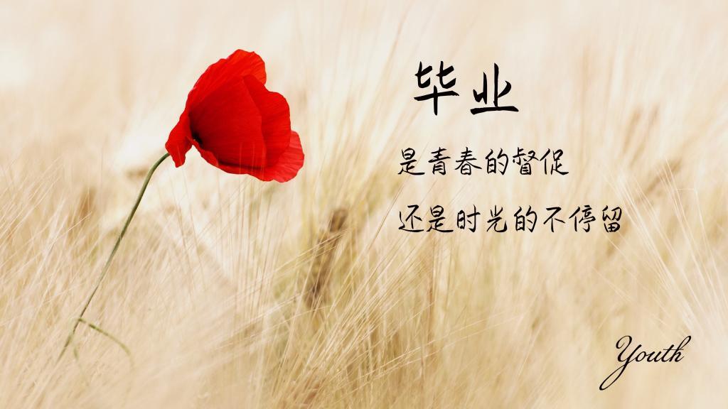 天下最低价