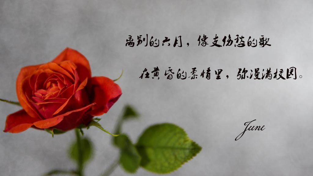 追忆昔年之故乡