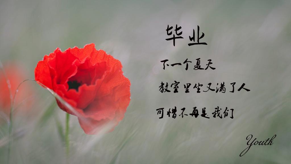 不可不看的人生感悟