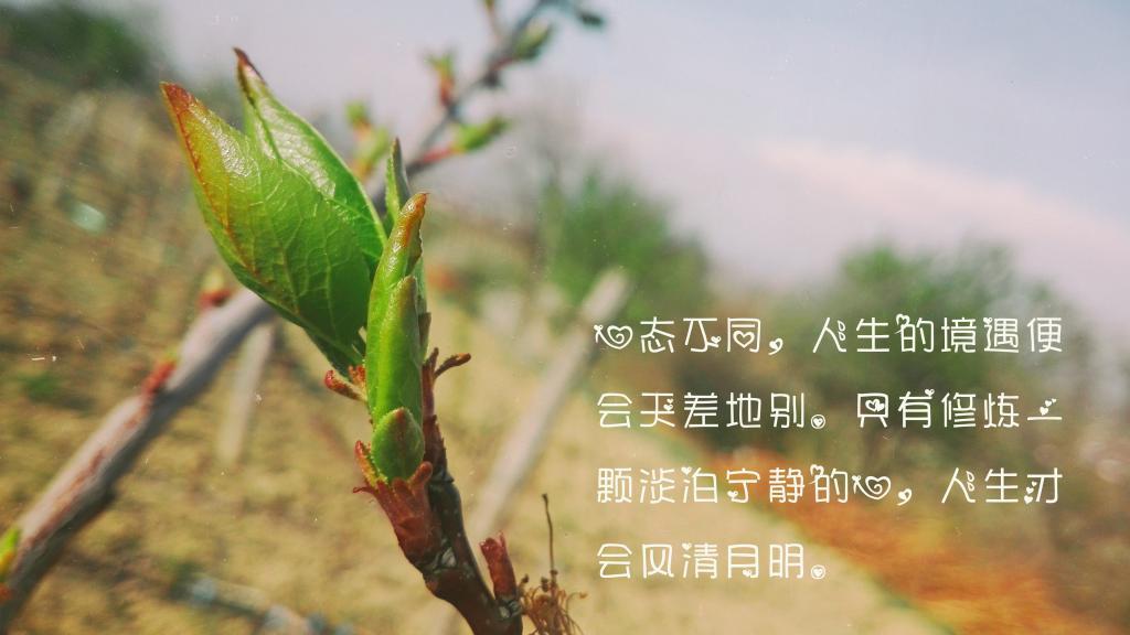 零点课堂