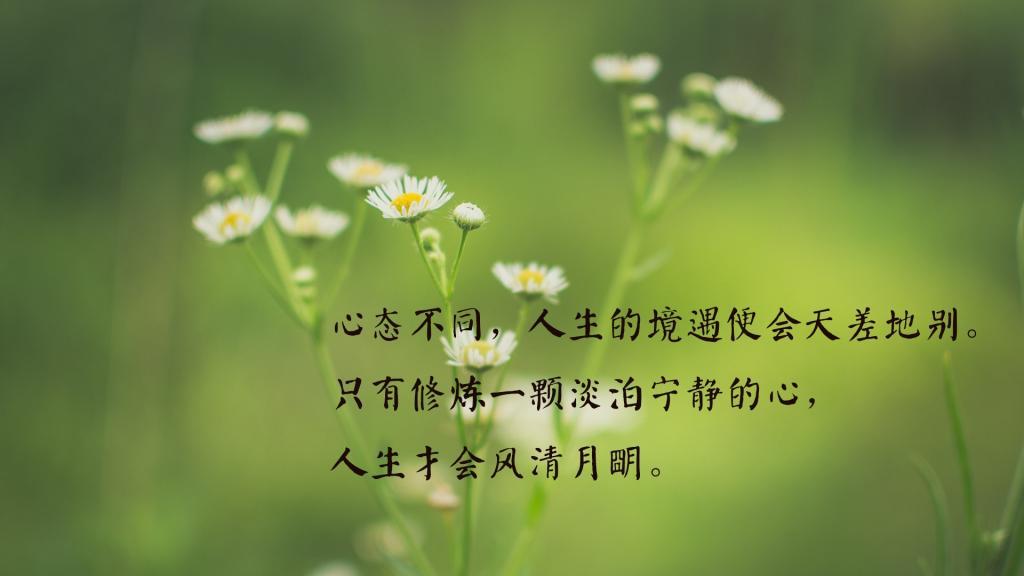 小鸽子，我都还记得