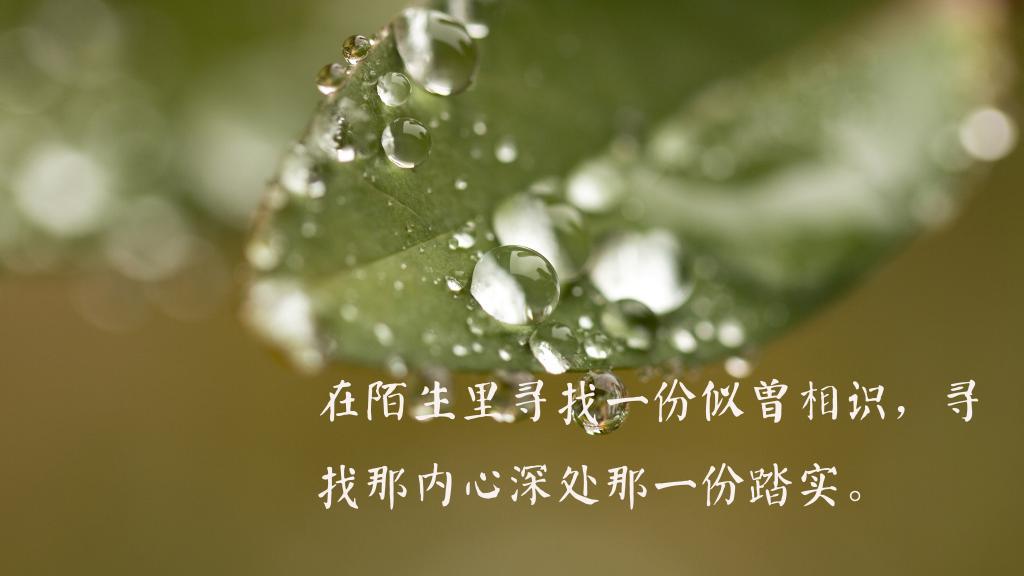 晚安好梦文字图片