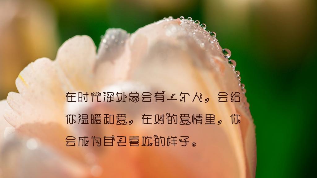 爱的反面