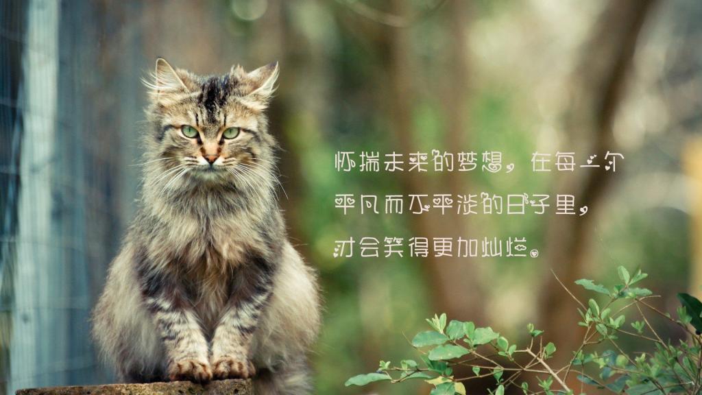 有时爱情的初衷不很美