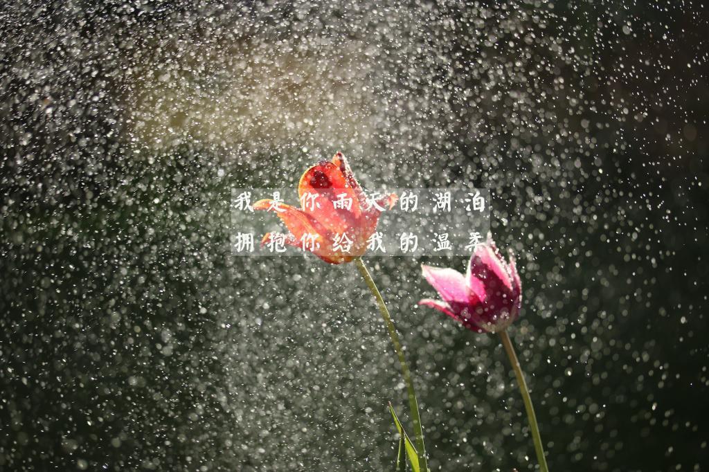 幼儿园实习总结