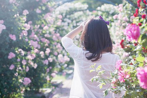 生活，无须理会