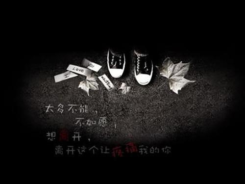 别乱嘲笑别人成绩