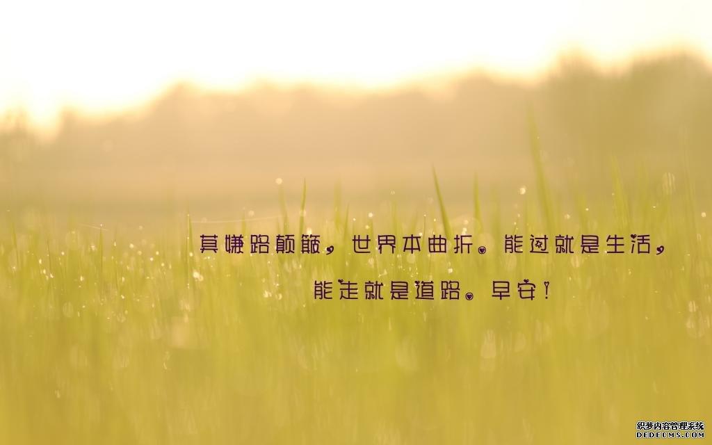 泪光中的叨念