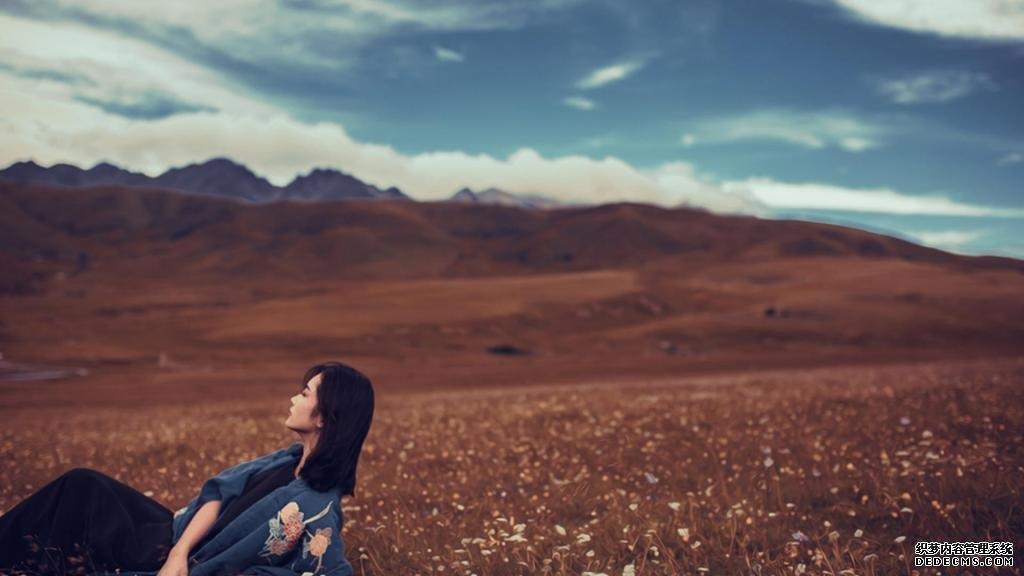 执着与放弃，释怀心情