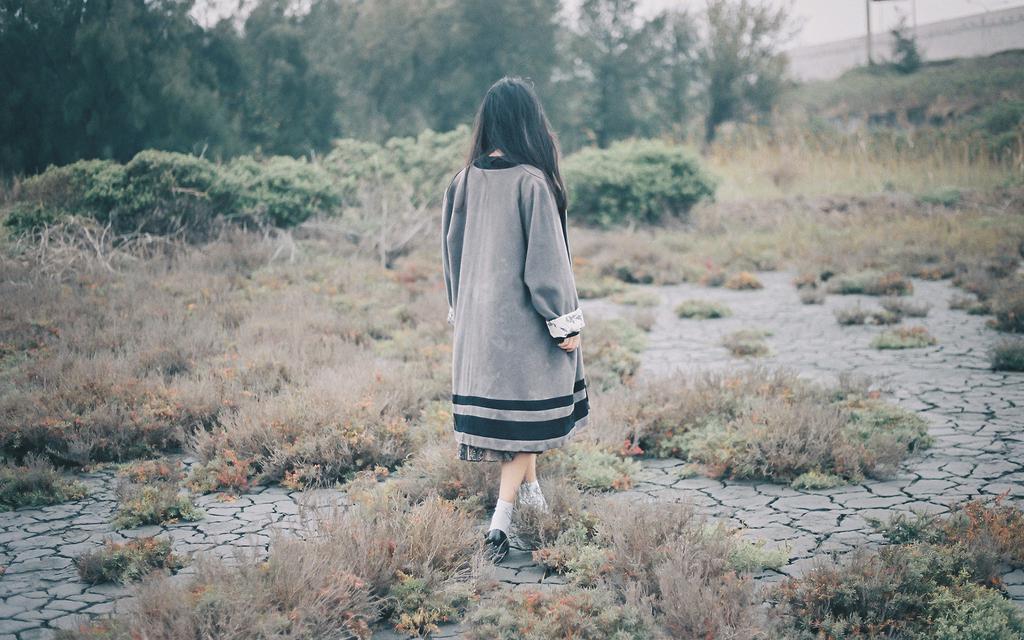 二十年来，总成一梦
