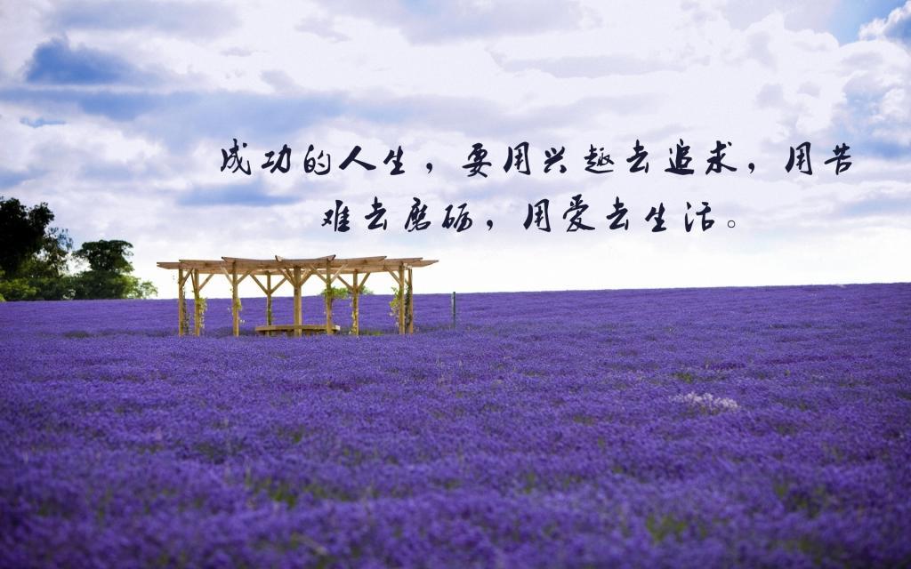 暧昧比拒绝更残忍