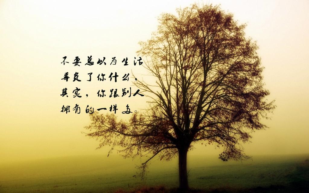 要命的哥哥