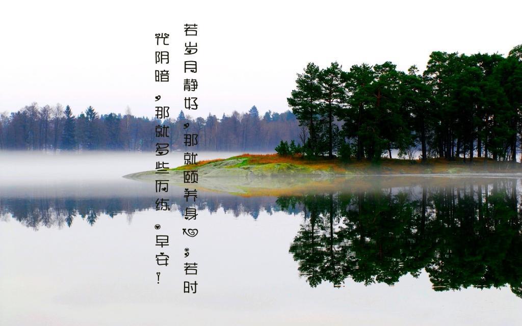 榆钱是榆树的爱