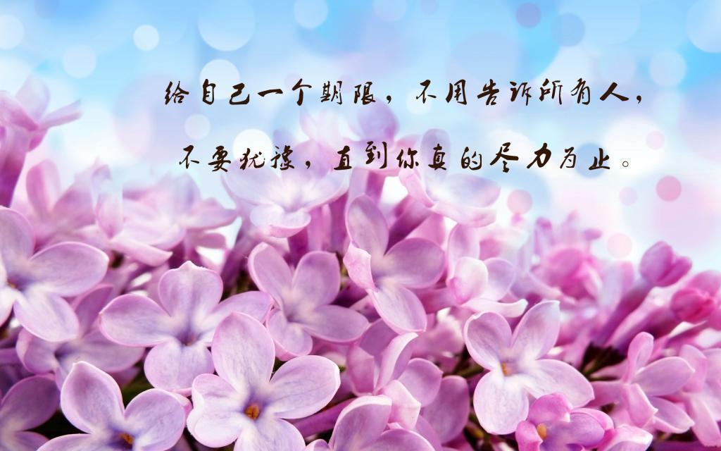 给里的写手一点小建议散文