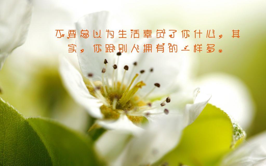 与青葱有关的爱恋