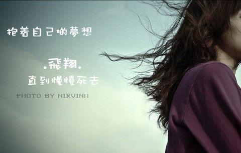 偏爱我的老师