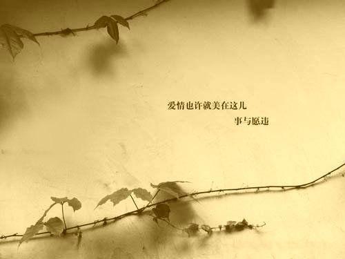 逝去的哀痛，不忘的爱情