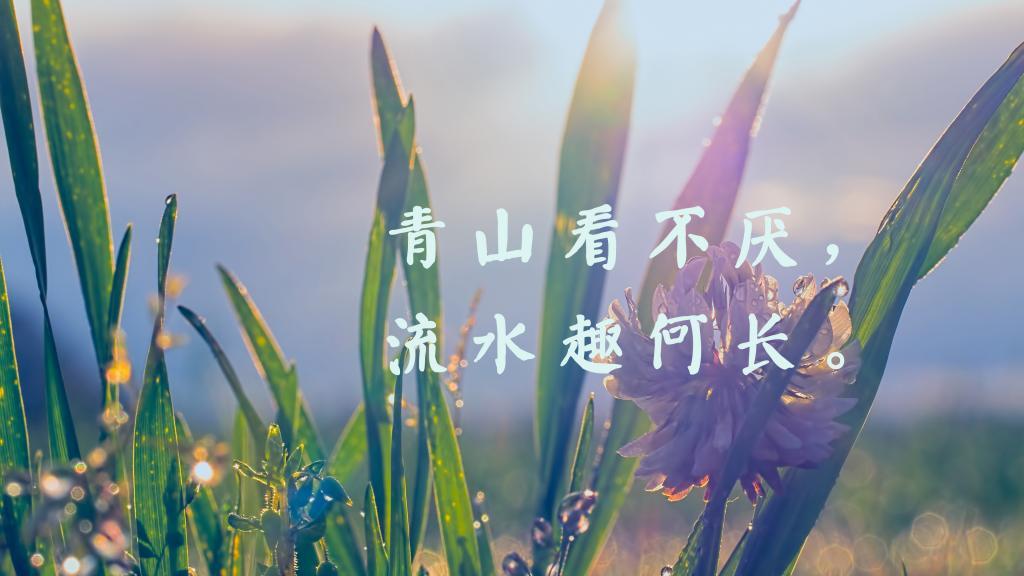 顾玖：愿你喜