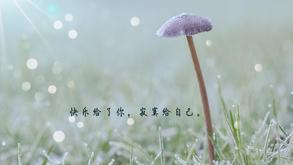 学校惊魂