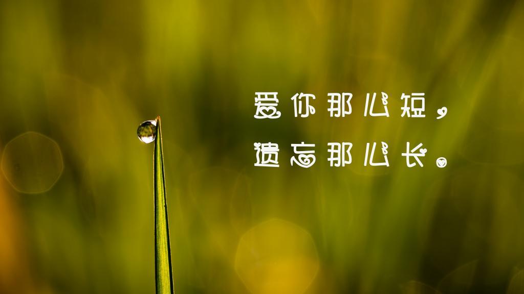 顾黎：有时候，最难放下的是一些你从没真正