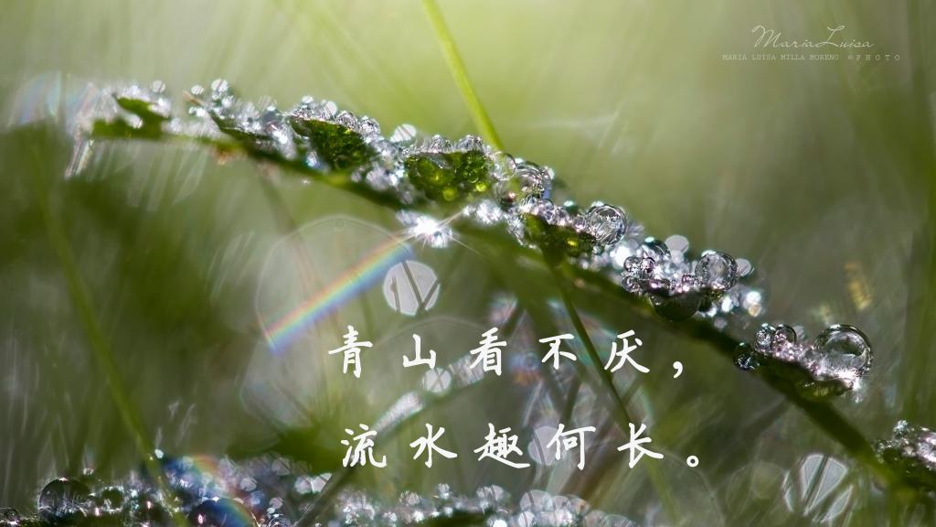 为没有而快乐