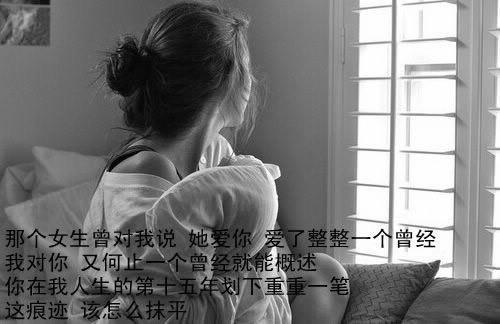 一叶枫红，知清欢几许